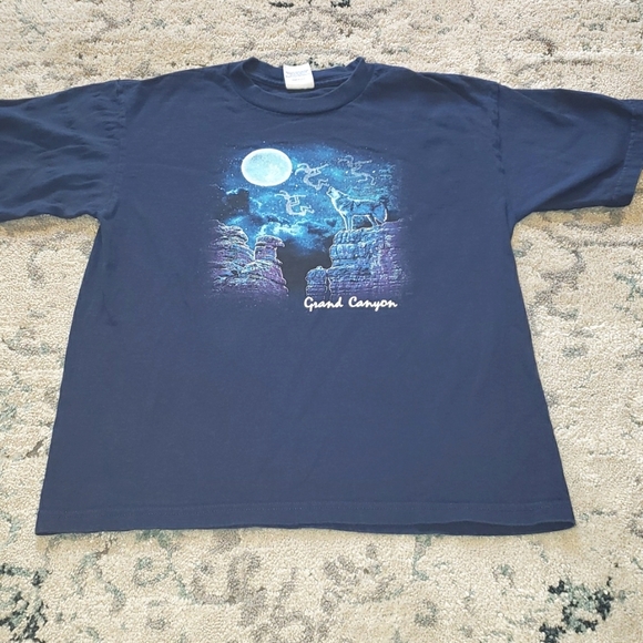 T-shirt Homme Grand Canyon Prairie Mountain - Bleu Taille M - État Très Bon